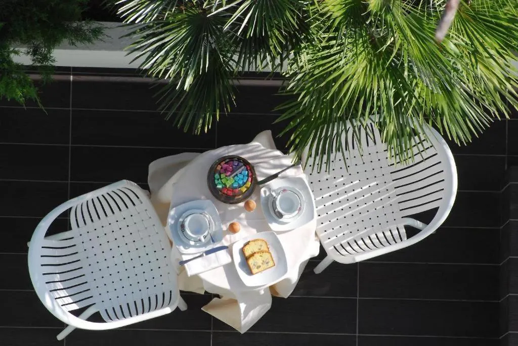 Hotel Bracciotti Lido di Camaiore Italy