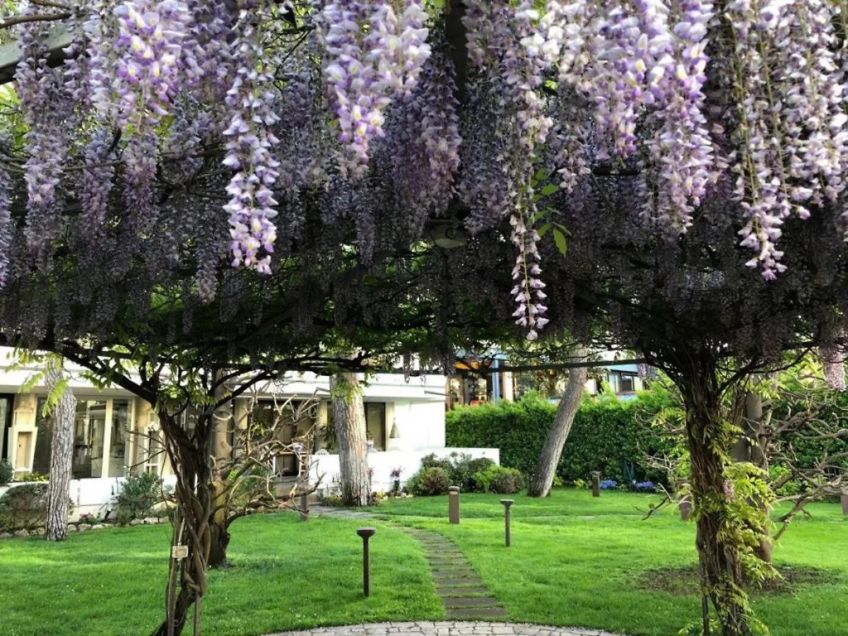 Hotel Bracciotti Lido di Camaiore