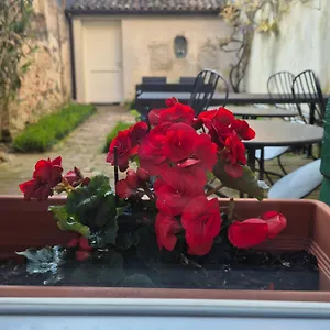 *** Couette-café 19 Borgo Cavour Italie